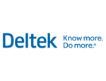 Deltek Vision