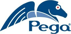 Pega BPM